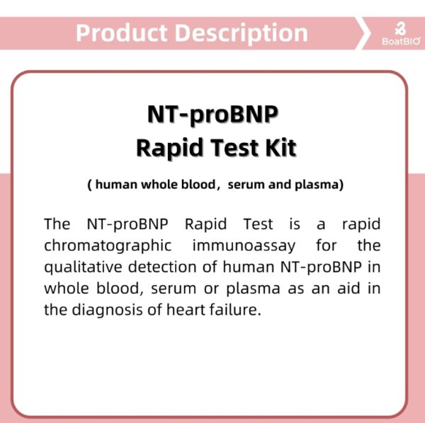 NT-proBNP Rapid Test Kit - Image 2